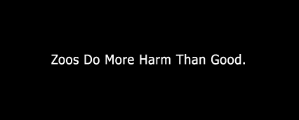 zoos do more harm than good Essays - largest database of quality sample essays and research papers on zoos do more harm than good. zoos do more harm than good Essays - largest database of quality sample essays and research papers on zoos do more harm than good.
